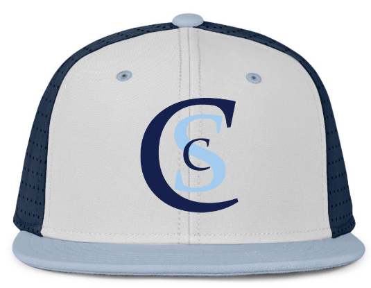 CSC PANTHERS BASEBALL CAPS