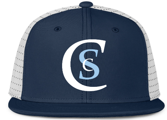 CSC PANTHERS BASEBALL CAPS