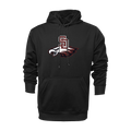 SD EAGLES BASEBALL UNISEX LONG SLEEVE HEAVYWEIGHT HOODIE - V2